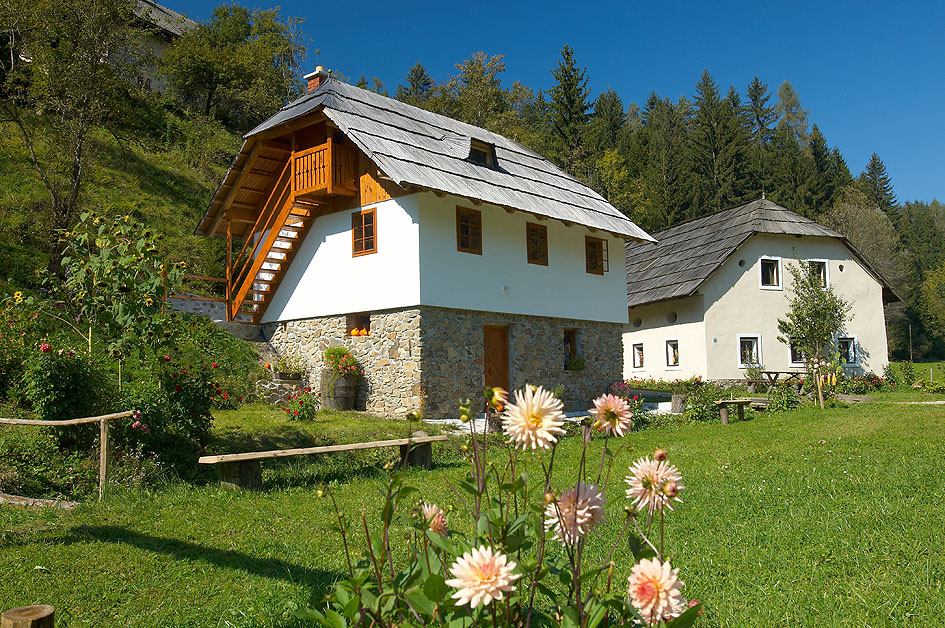 Apartma Mumina bajta